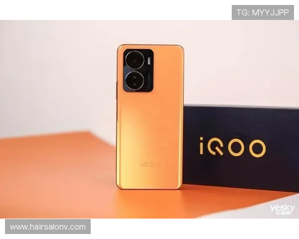 Z6下载登录指南：详细步骤帮助你轻松完成账号登录