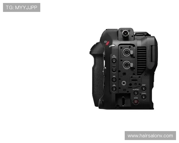 尊龙z6.com多平台兼容的游戏下载与安装教程确保玩家无障碍畅玩各类热门游戏